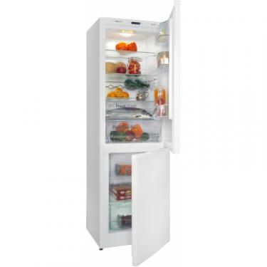 Холодильник Snaige RF56NG-P500NF Фото 7