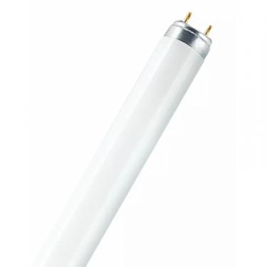 Лампочка LEDVANCE FLUORA L Т8 36W / 77 G13 / 1200мм / 1400Lm Фото