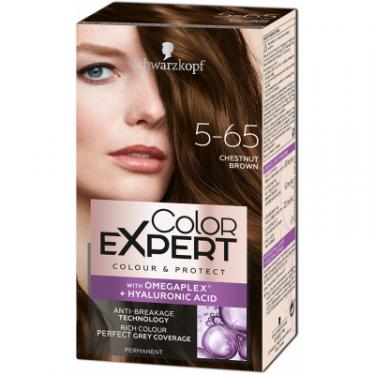 Краска для волос Color Expert 5-65 Шоколадний Каштановий 142.5 мл Фото