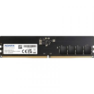 Модуль памяти для компьютера ADATA DDR5 16GB 4800 MHz Фото