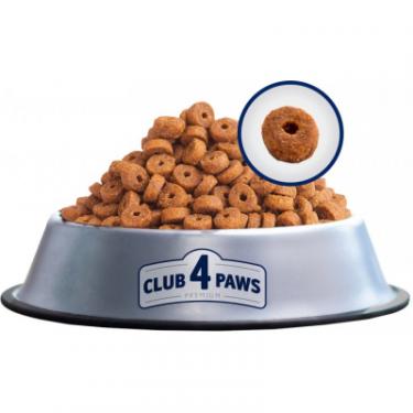 Сухой корм для кошек Club 4 Paws Преміум. З кроликом 2 кг Фото 2