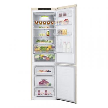 Холодильник LG GW-B509SENM Фото 2