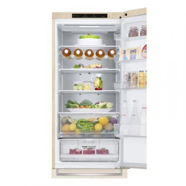 Холодильник LG GW-B509SENM Фото 5