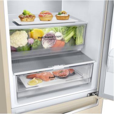 Холодильник LG GW-B509SENM Фото 6