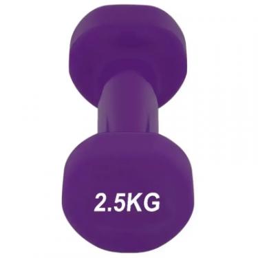 Гантель PowerPlay 4125 Achilles 2.5 кг Фіолетова Фото 4