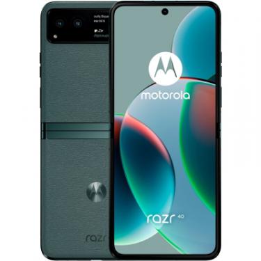 Мобильный телефон Motorola Razr 40 8/256GB Sage Green Фото