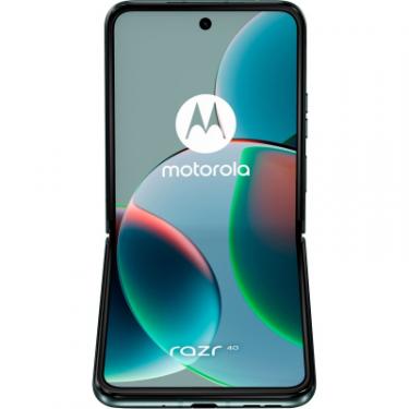 Мобильный телефон Motorola Razr 40 8/256GB Sage Green Фото 4