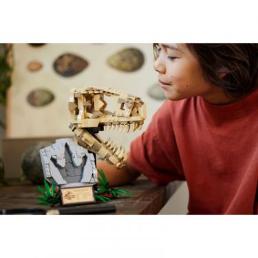 Конструктор LEGO Jurassic World Скамянілості динозаврів череп тиран Фото 6