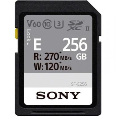 Карта памяти Sony 256GB SDXC class 10 UHS-II U3 V60 Фото
