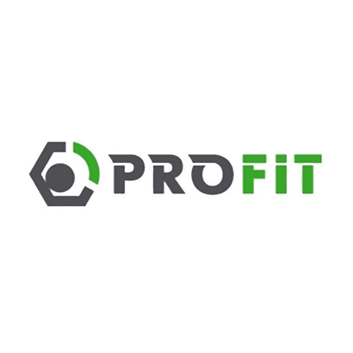 Воздушный фильтр для автомобиля Profit 1512-2993 Фото