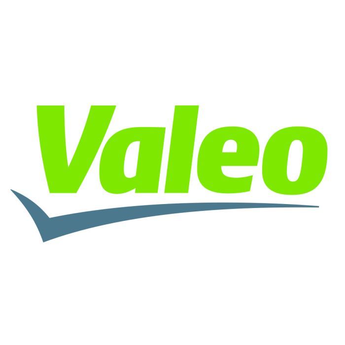 Воздушный фильтр для автомобиля Valeo 585427 Фото