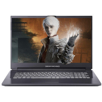 Ноутбук Dream Machines RT3060-17 Фото