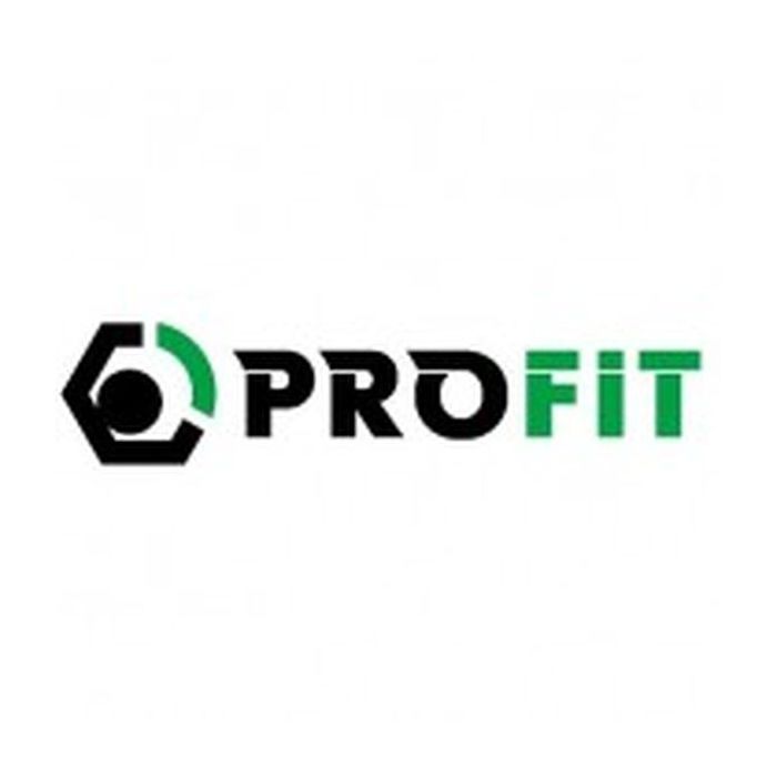 Воздушный фильтр для автомобиля Profit 1512-4264 Фото