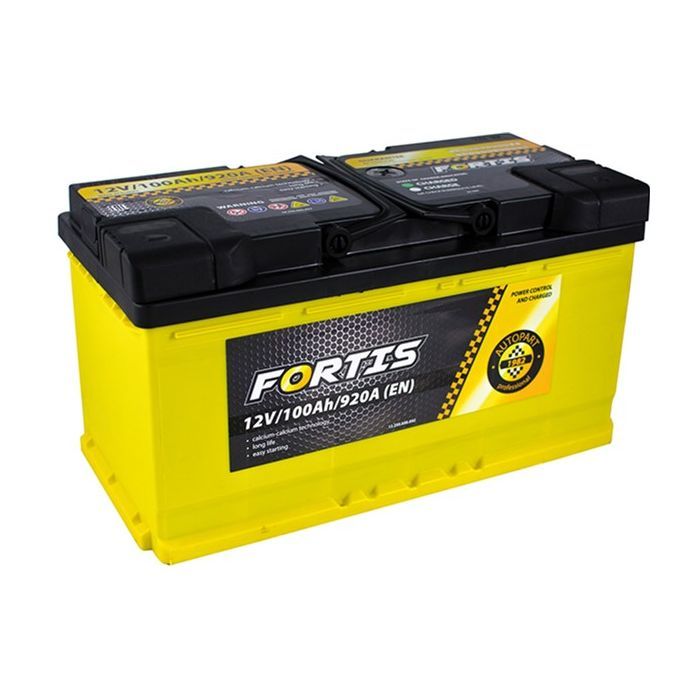 Аккумулятор автомобильный FORTIS 100 Ah/12V Euro Фото