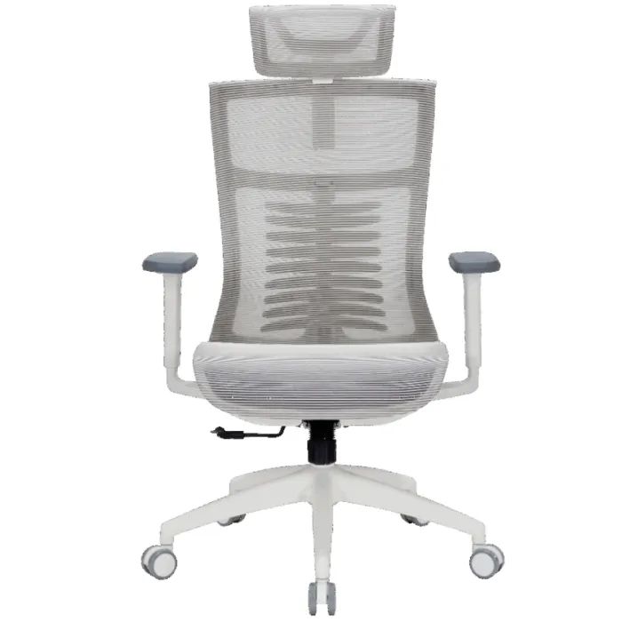 Офисное кресло OfficePro Balance OC620-W-LG-LG Фото