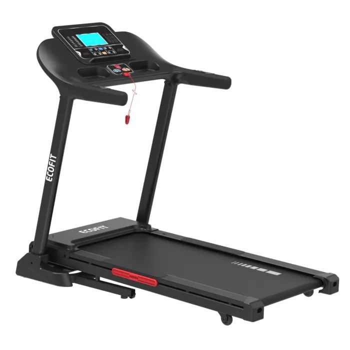 Беговая дорожка Ecofit E-T296 Фото