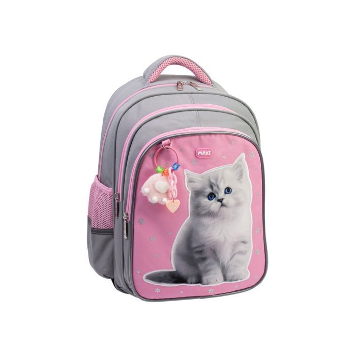 Рюкзак школьный Maxi 15" Фото